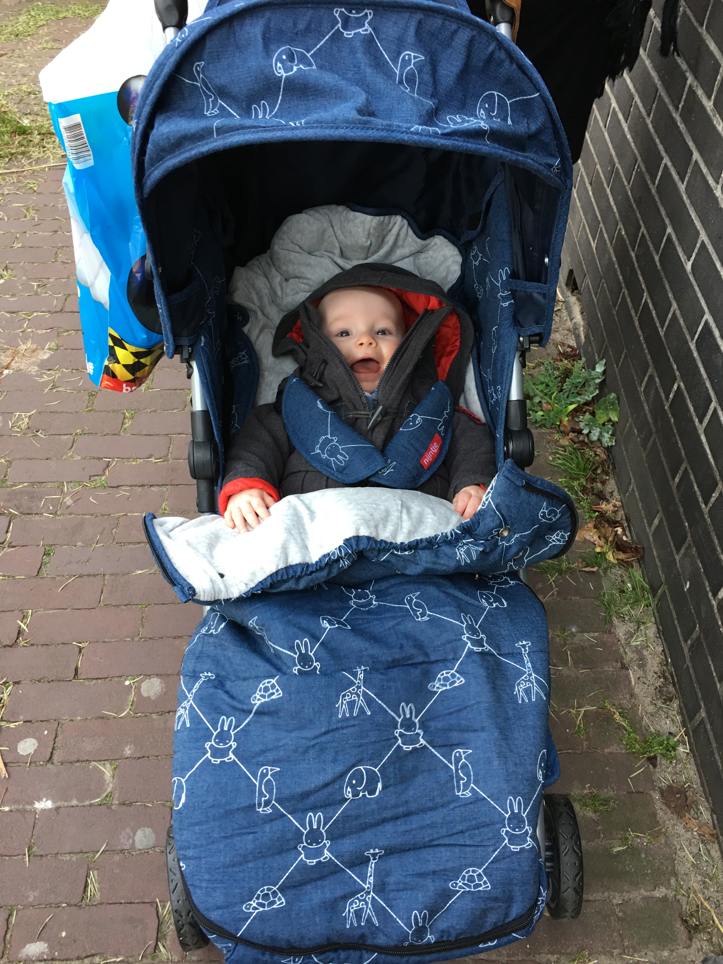 Mijn kind heeft een hekel aan de auto \u0026 buggy - Lonneke Schrijft